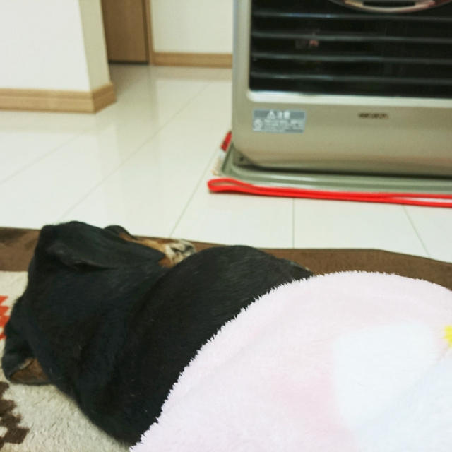 ＊今年の抱負＊