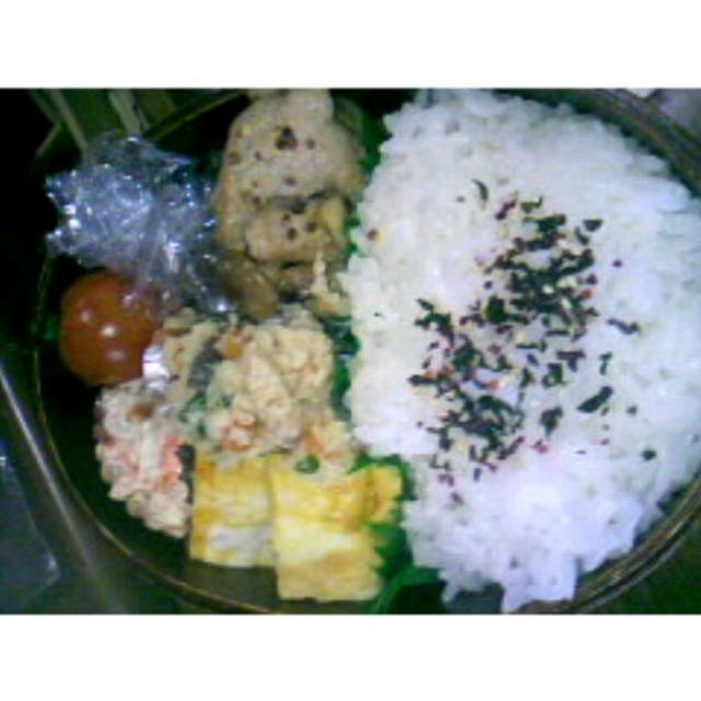 今日のお弁当