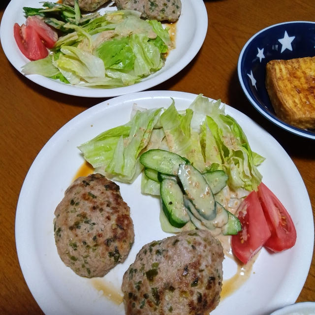 晩ご飯はネギたっぷりハンバーグ