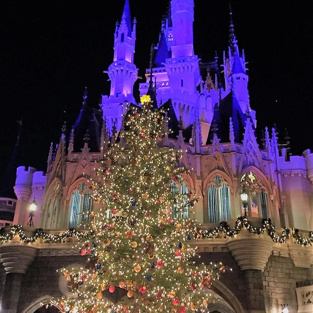 東京ディズニーランド35周年のクリスマス