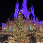 東京ディズニーランド35周年のクリスマス