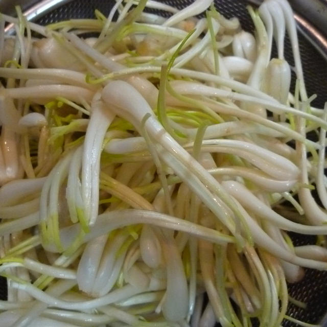 島らっきょうＤＥ塩漬け☆