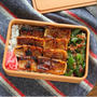 肉も魚もない朝に！「ちくわのかば焼き」と「ピーマンおかか」の２品弁当