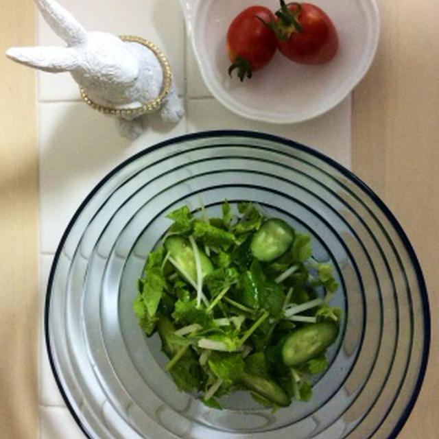  Green salad 🍀