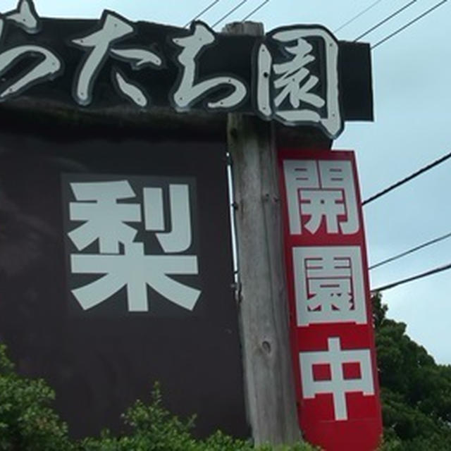 茨城へ梨狩り 食べ放題のからたち園へ行ってきました 常磐道千代田 石岡ｉｃから近いよ By ひなたさん レシピブログ 料理ブログのレシピ満載