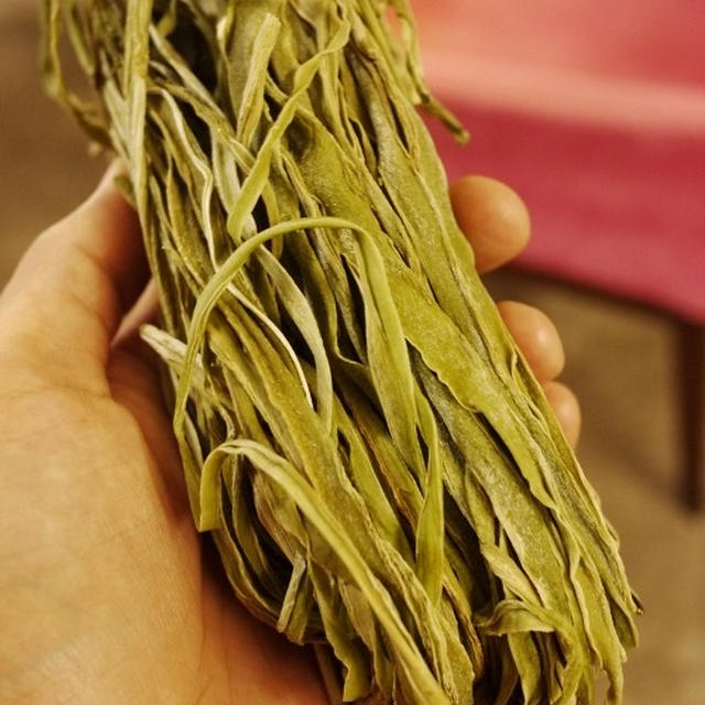 マイブームの山クラゲ。