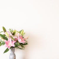 心癒す花で、残暑お見舞い申し上げます。