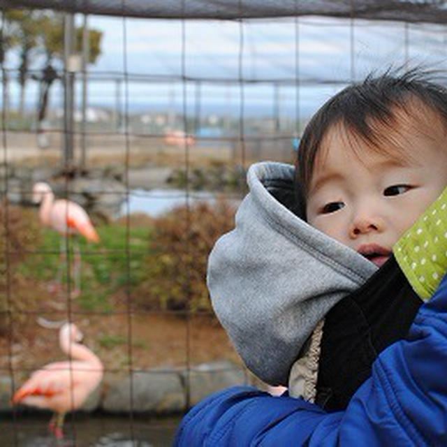 動物園へ