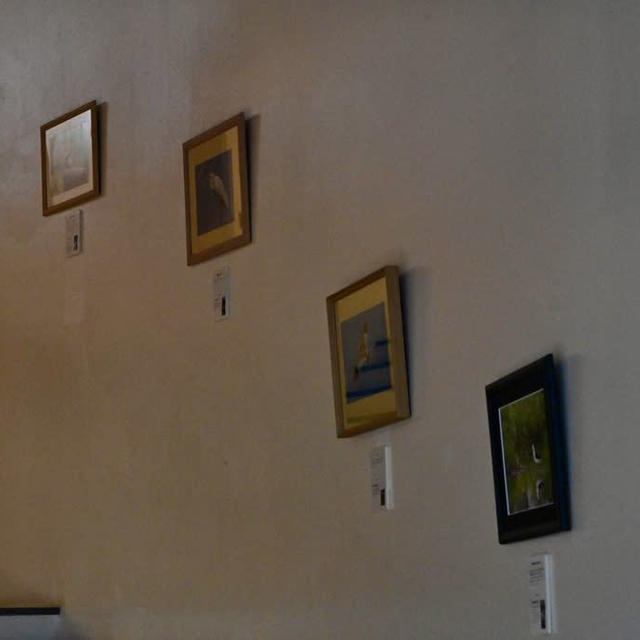 ビュー福島潟の展示