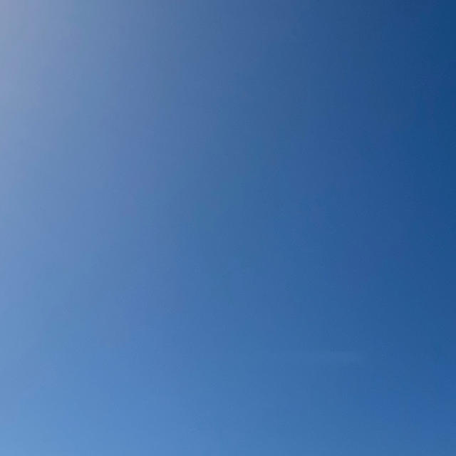 今日のテキサスは快晴！気温23℃なり