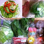 大地を守る会からお野菜が届いた！