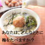 デザート感覚!『紀州産みかん梅プレゼント』☆どんなときに梅を食べますか？