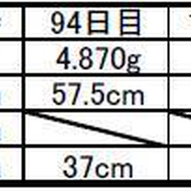 *４ヶ月健診記録*&フォトブック