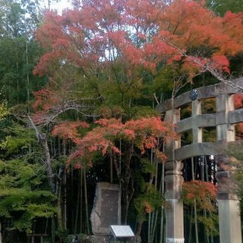 化野念仏寺