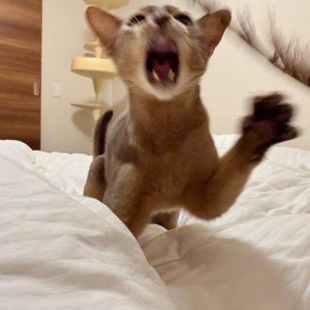 お口全開で遊ぶ坊