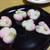 我が家のご飯いろいろ