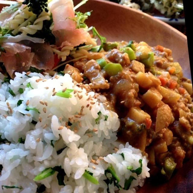 ☆幸せの素！カレーと天ぷら☆
