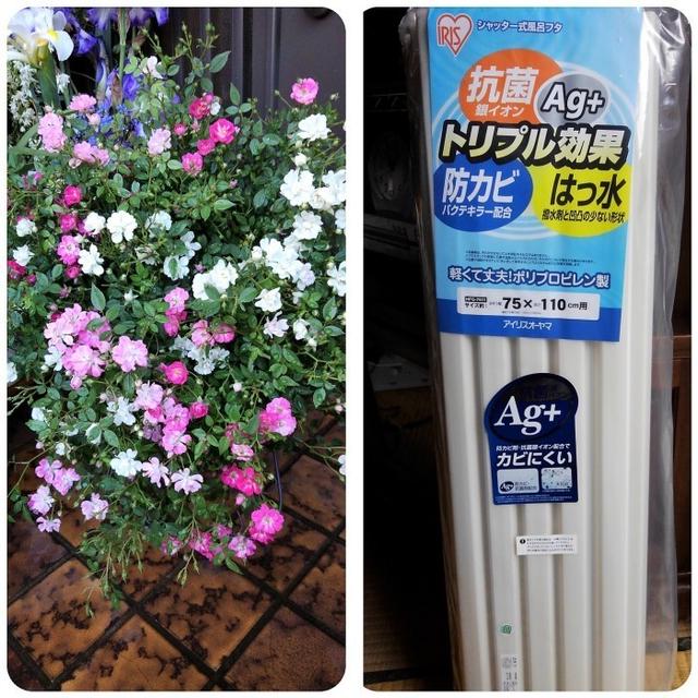 ■【アメリカ在住の二女から母の日プレゼントが届きました＾＾】