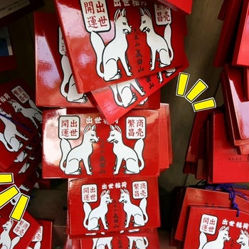 【犬とおでかけ】出世稲荷