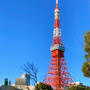 東京タワー(*ﾟ∀ﾟ*)癒される^ - ^