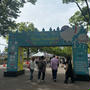 タイフェス 2025@代々木公園