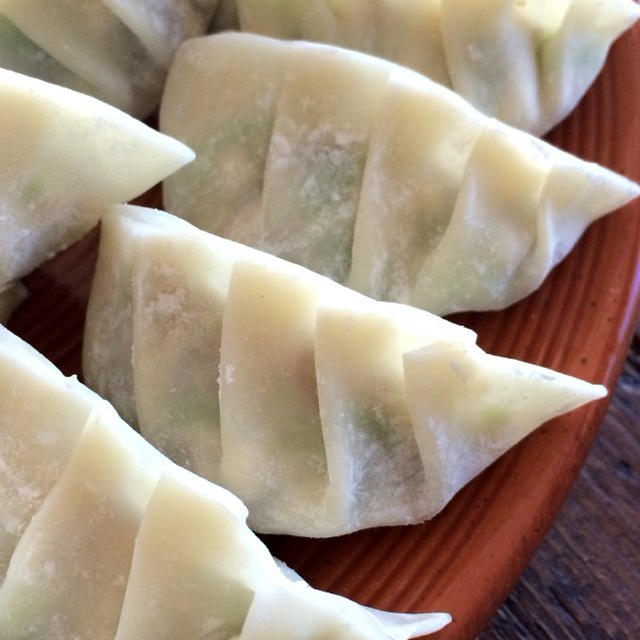 Garlic Tofu Pot Stickers糸こん入りにんにく豆腐餃子