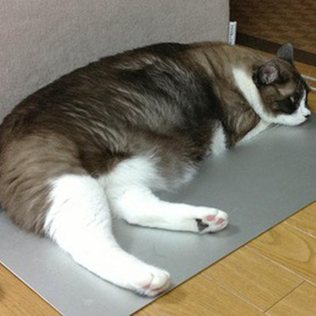 なんか不満そうですが・・・