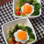 2kgの壁|ω･`) ✿ bento＆晩ご飯♪