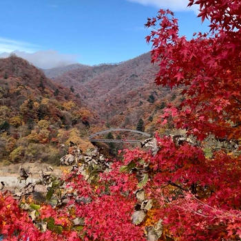 四万温泉に来ています♪