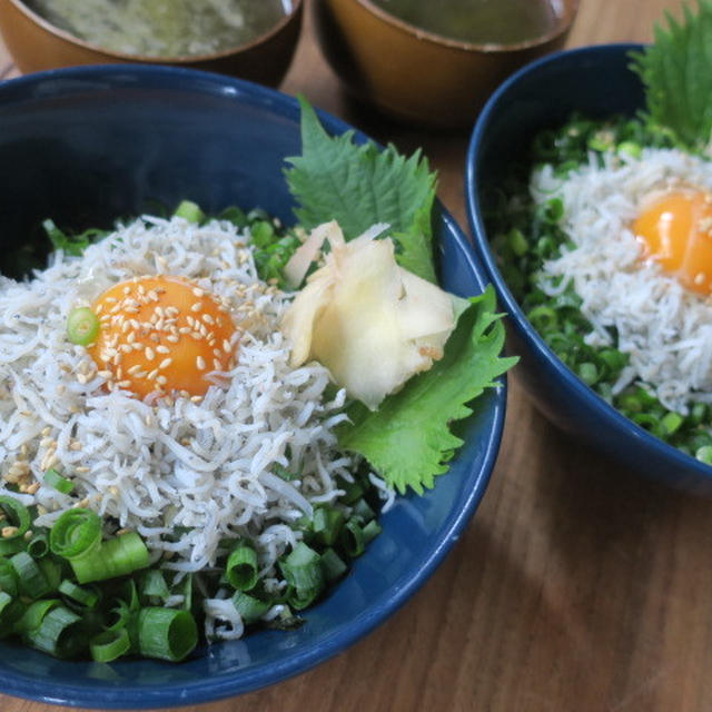 COSTCOシラスで しらす丼＆しらす豆腐グラタン♪