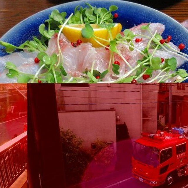 メジナとタカノハダイのカルパッチョ