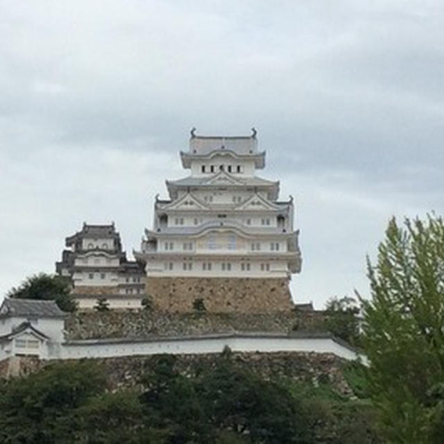 白す?ぎ?