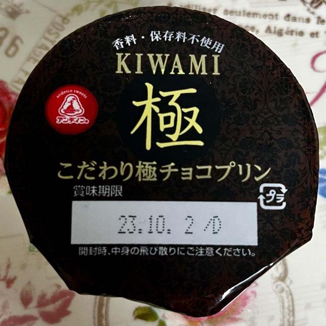 【人気フレーバー】アンデイコ こだわり極チョコプリン