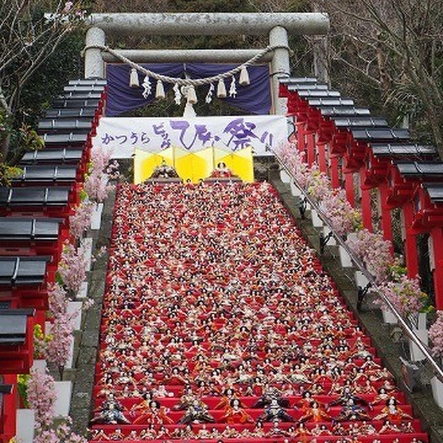 勝浦の「かつうらビッグひな祭り」など...