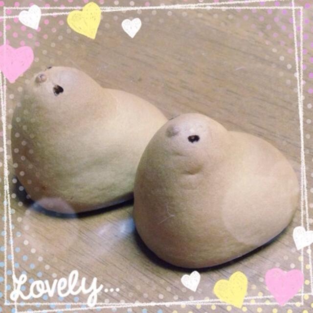 またしても！ ひよこ♪
