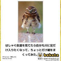 可愛いヤツ