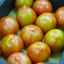 旨～いトマト♡プレミアム７＠とちぎ野菜サポーター