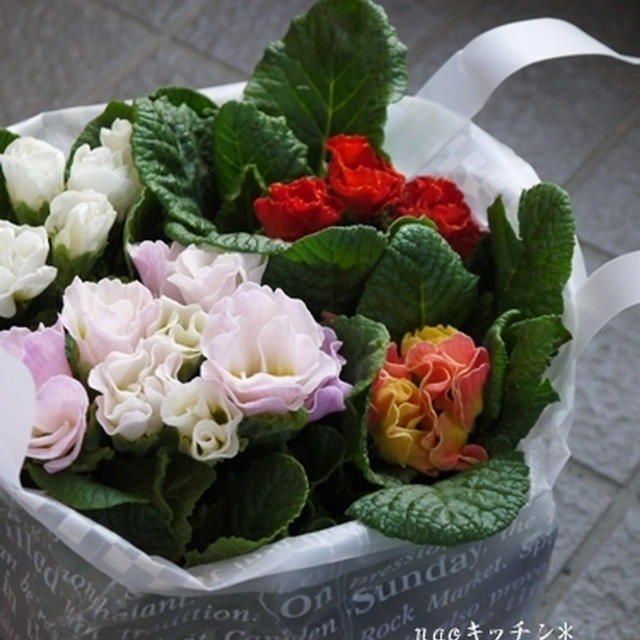 コストコでお買い物*花編