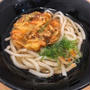 阪大の学食でかき揚げうどん