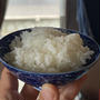 日本人には米だーごはんだーおにぎりだー