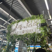 人類みな麺類 JR名古屋駅・幻の1番線、らーめんmicro世界一極厚チャーシュー