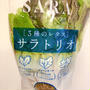 サラダ作りが劇的に楽になる「サラトリオ」