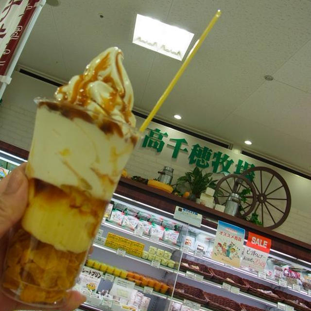 美味、宮崎⑩高千穂牧場のプリンソフト