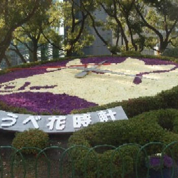 神戸夜景満喫ツアー～神戸に大仏！観光タクシーで神戸の穴場を巡る