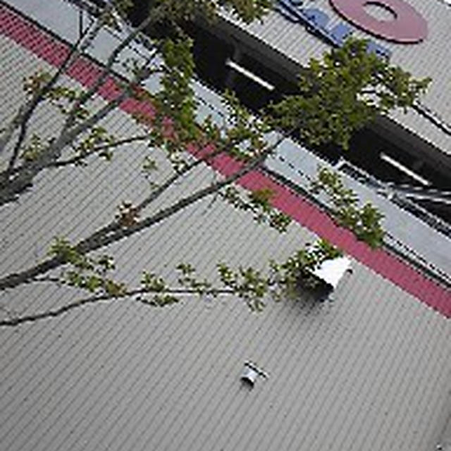 コストコ中部は夏に繰り上げ！！