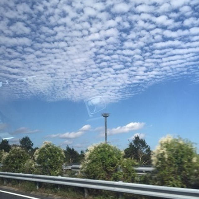 秋を感じる、うろこ雲。