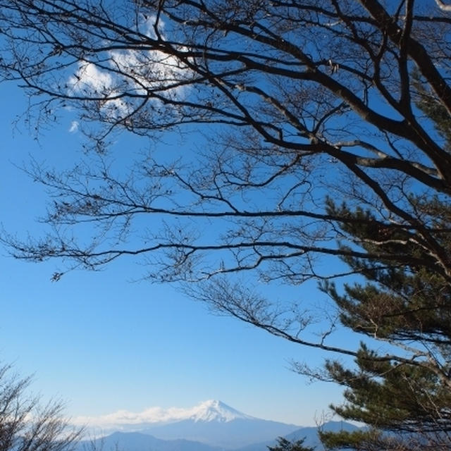 三頭山で富士山みたよ！