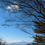 三頭山で富士山みたよ！