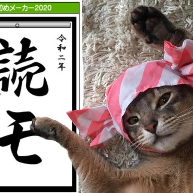 ニャンズ6匹の書き初めメーカー2020