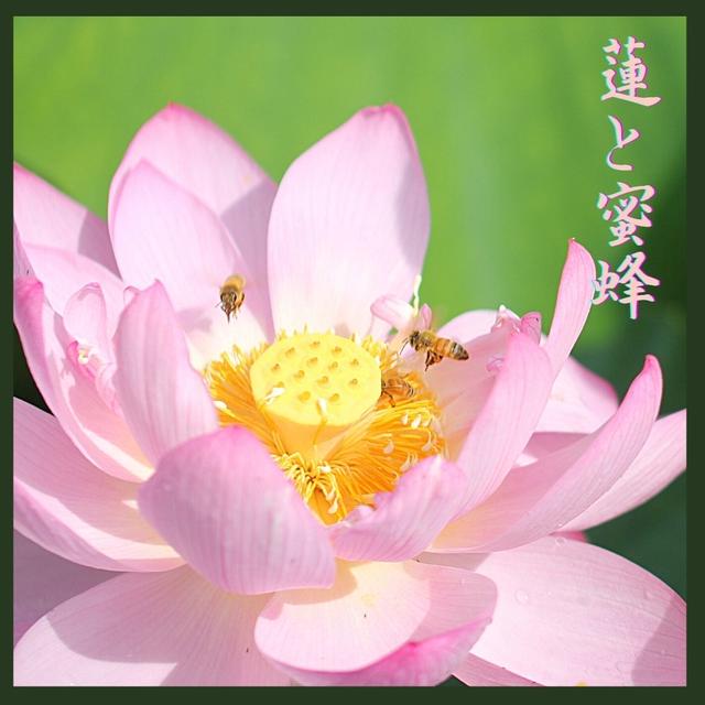 故郷奈良での事件